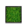 Green Emerald Moss Art on Black Frame