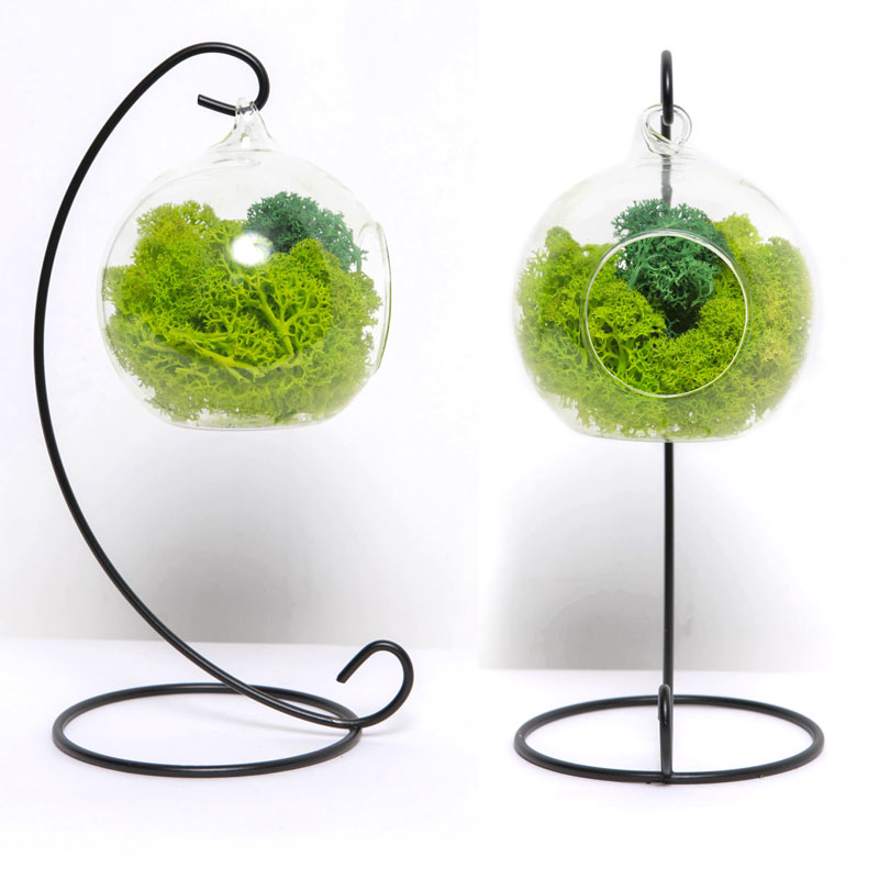 glass ball terrarium