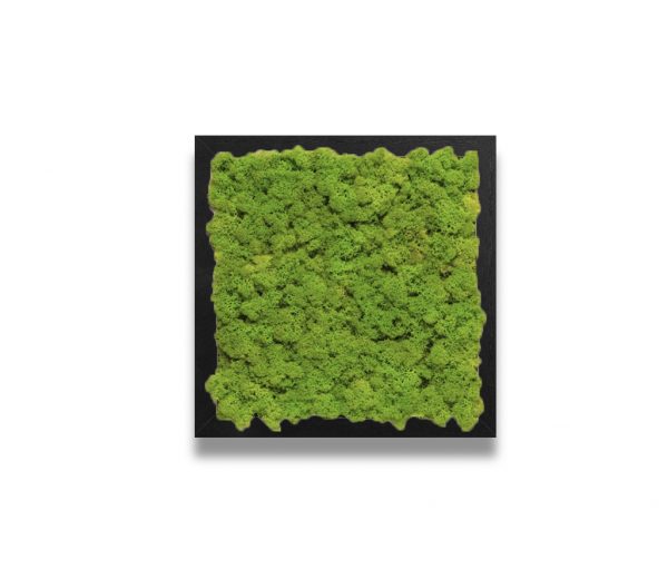Spring Green Moss Wall Art on Black Frame - Moss Design Art