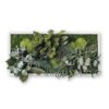 Mixed moss wall art with preserved plants 40x50 cm