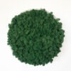 Emerald Green Moss Art on Circular Frame