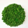 Spring Green Moss Art