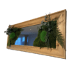 Mirror with preserved plants